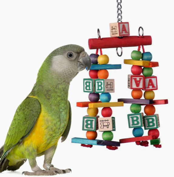 Katy's ABCs Jr.